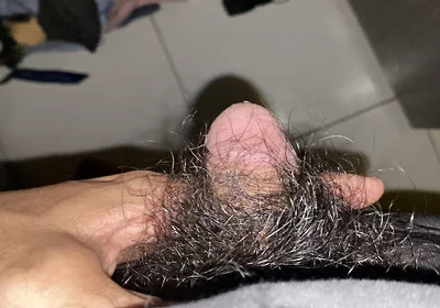 I Masturbate in the Afternoon
