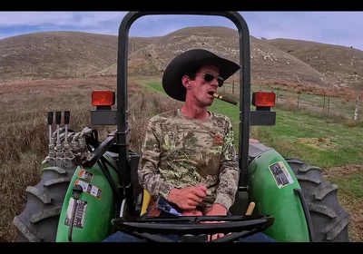 Do You Like the Color Grading?
