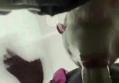 The Teacher's Thick Sucks in a Public Toilet. Slaps for a Student