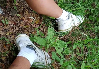 Compilation Pisses Urine by Master David