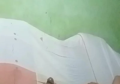 The Fat Penis of a Young Man Working on the Farm