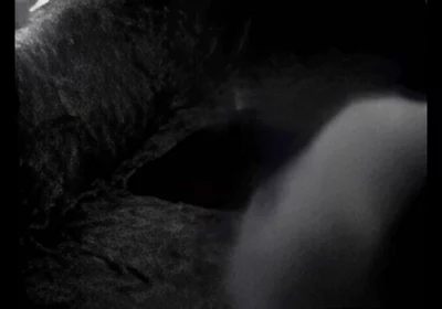 Hump Masturbation Black and White with the First Real Webcam in 1996