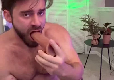 The Stallion