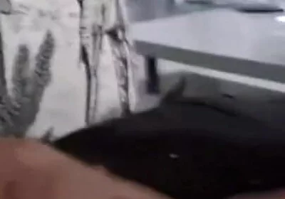 Big Cock