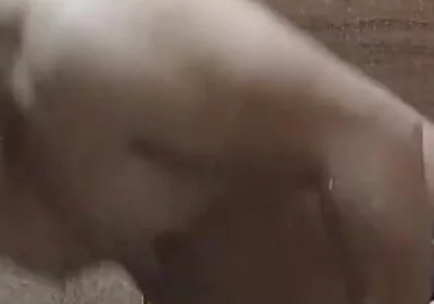 Bathroom Me Nanga Nahate Hue Bathing Video