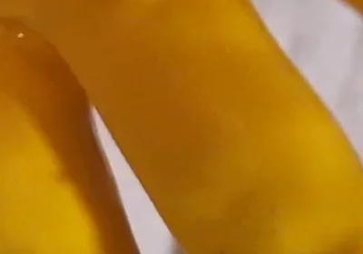 Dream Ofevolutionvip.de Latex Gloves