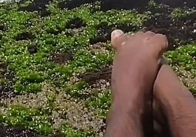 My Beautiful Feet After a Day of Work Taking Vitamin D on the Beach