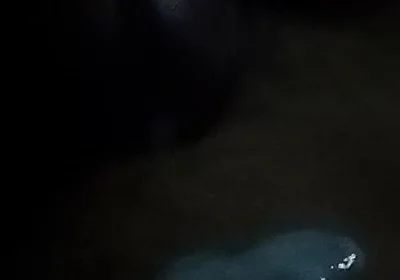 Mestubution Milk