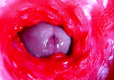 Extreme close-up ASMR head inside wet pussy