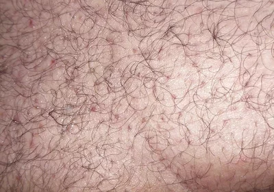 A Close up Ass Worshiping and Fingering