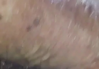 Feeling Horny Now