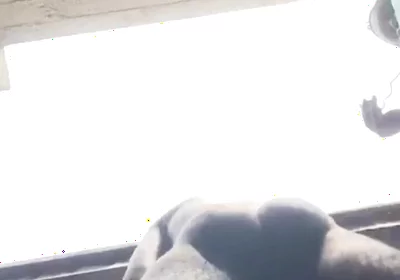 Doggy Bareback Below View