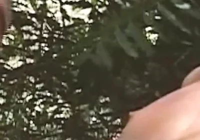 Gay Training Scene-1_military Trainer Teaches Anal Sex to Latin Cadet