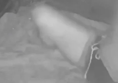 During His Jog, a Guy Discovers a Young Camper and Submits Him - Caught on Night Vision Cam