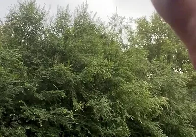 Jerking in the Woods