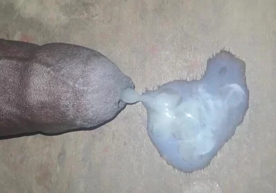 A Big Black Cock Full of Cum