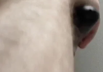 Shaving and trimming my cock, balls, and face