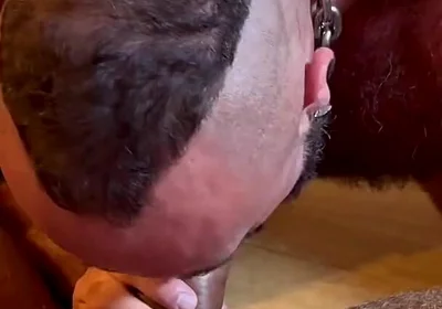 Hairy Males Fucking