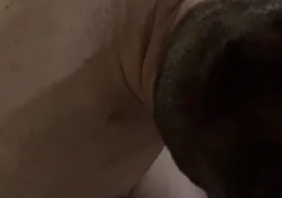 Step Daddy Drenched His Step Boy in Piss