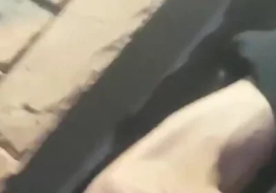Tommy Went to the Store for Food, When He Comes Back He Will Fuck Hans