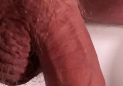 Exposed Glans, Naked and Relaxed Bear