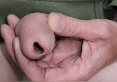 Urethral Toys and Gaping Pee Hole While Urinating