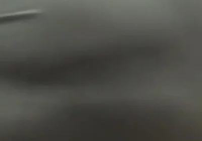 Essasexe 2