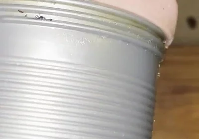Deep Fucking My Fleshlight