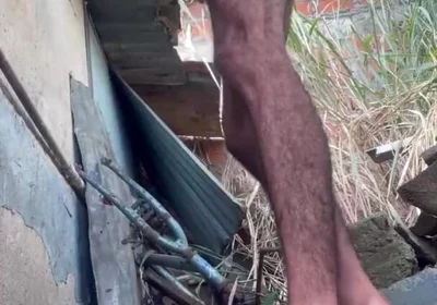I Masturbate Behind the Neighbor's House