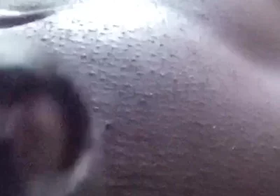 Jumping Dicks Are Good for You