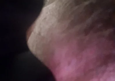 Licking Boots