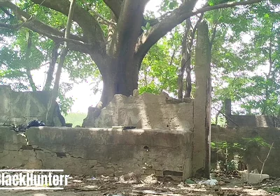 Masturbating in the Park