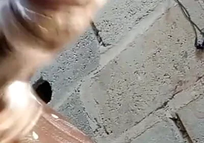 Wet and Watery Dick Cumshots Massage