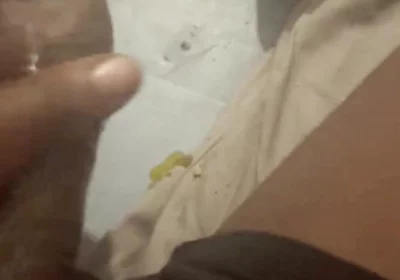 Oiling My Dick Jerking off
