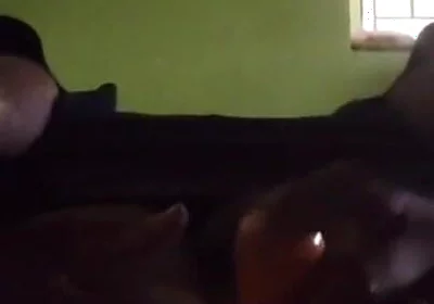 Hardcore Ass Fucking in Vegetable