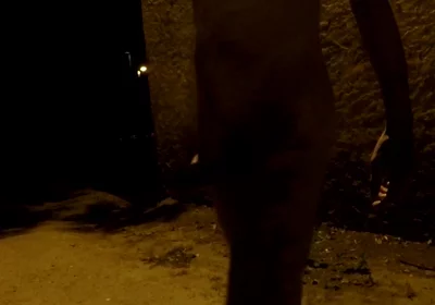 Crusing in a Park at Night - Getting Naked 2