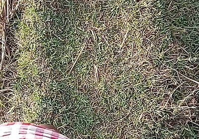 Gay Boy Outdoor Night Pussy Hole Sucking