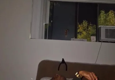 Late Night Dildo & Wank Sesh