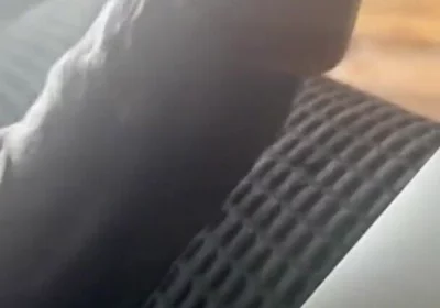 Stroking My Big Black Cock Watching Porn