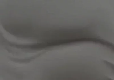 This Ass