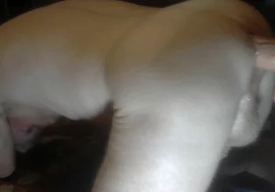 Big Dildo Thrusting in My Ass