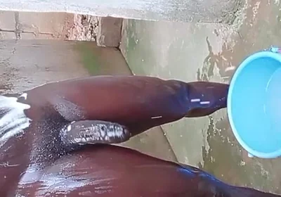 Wow Big Dick Workouts Experience