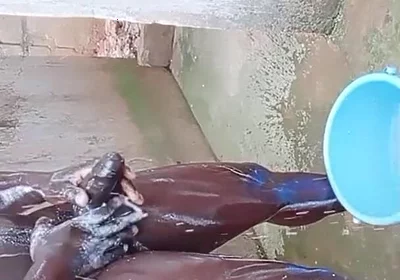 BBC Massage Orgys in Africa