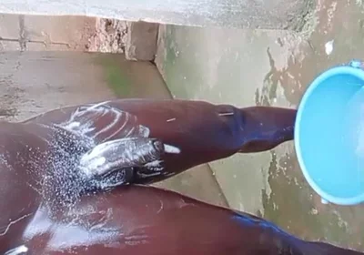 Wow Big Dick Workouts Experience
