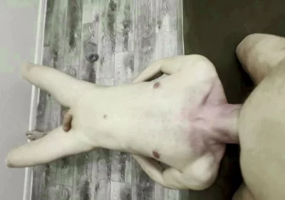 The Fat Man Got Excited and Cummed Twice in the Guy's Mouth.