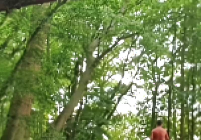 Compilation Outdoor Nudity, Masturbation, Pee & Ass Images