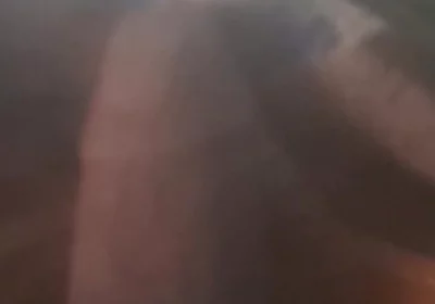 Dick Lovers