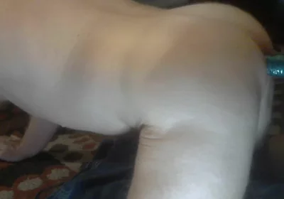 Thrusting Dildo Fucking My Wet Hole