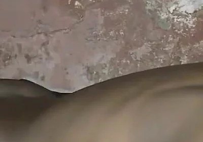 Humping My Bed Is a Sexual Desire