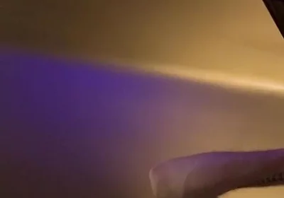 Raw Otter Dildo Fuck & Cum